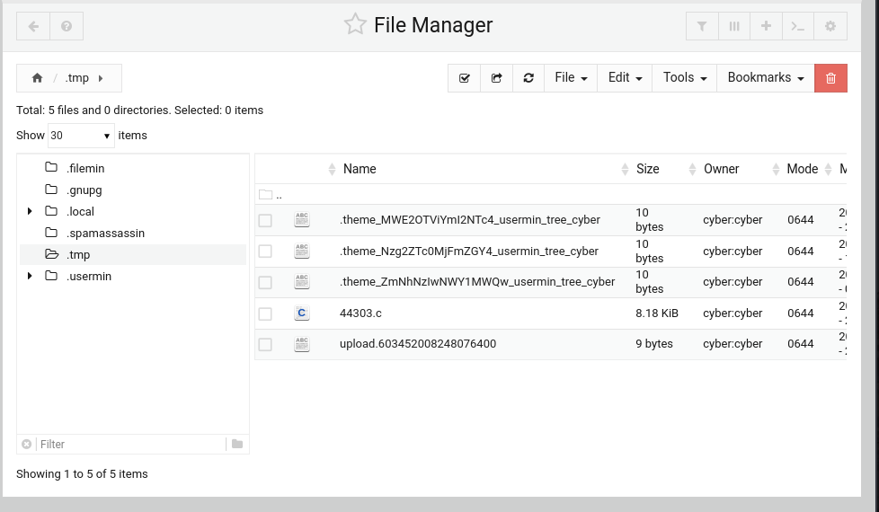 File Manager